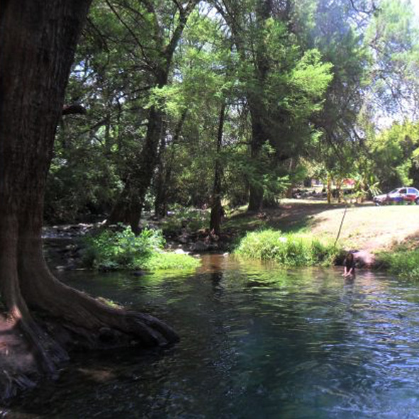 Balneario Ejidal El Bosque de Oaxtepec 